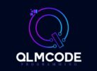 qlmcode.net